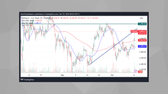BNB/USD: Continuation of the Upward Trend and Current Market Insights