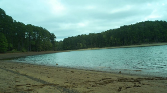 Walking the shores of Lake Allatoona Part 1