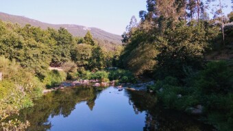 Trip to Portugal - Couce #4