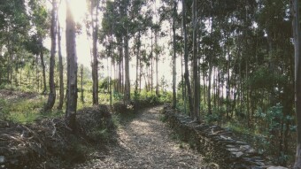 Trip in Portugal - Valongo valleys