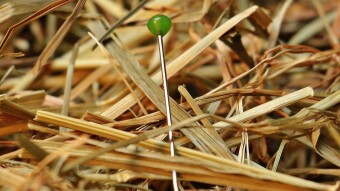 What a $1000 investment in crypto in 2021 could have earned