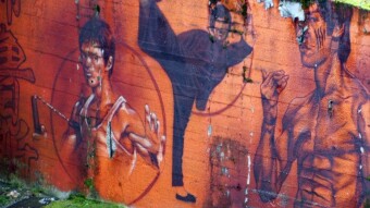 I'm King Bruce Lee karate champion - or so I thought until I got sick of the kings disease - My Actifit Report Card: February 21 2023