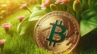 The Next Bitcoin Isn’t a Fork,  It’s Built on Hedera