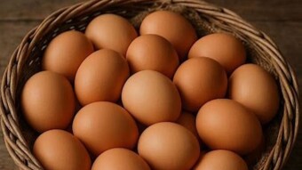 No es buena idea poner todos los huevos en la misma canasta