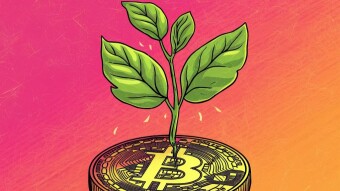 🌟 My Small Wins in Crypto: Why Every Step Matters