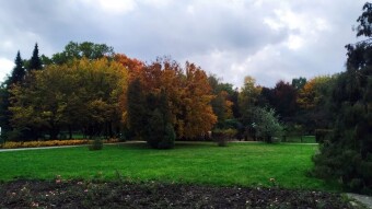 Wednesday gave us some sunshine, and that's enough - My Actifit Report Card: October 15, 2025