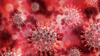 New York, New Jersey, Connecticut Imposes Quarantine Measures on 9 States