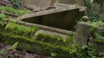 What Lies Beyond Death?