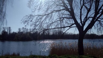 The first day of astronomical spring is truly spring-like - My Actifit Report Card: March 20, 2025