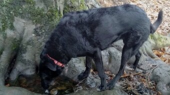 almost ten