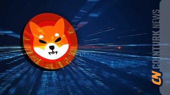Shiba Inu’s Burning Rate Soars by Over 323% in 24 Hours, Exciting Investors