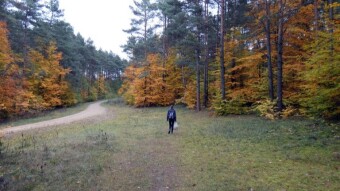 So, a little more about autumn mushrooms from the Kraków-Częstochowa Upland
