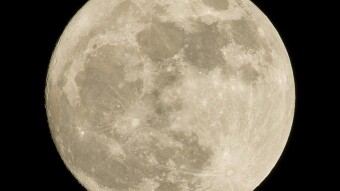 Hello alt season, when my moon bag?