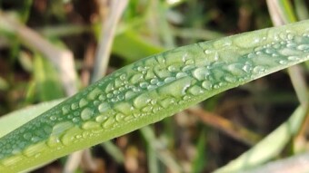 “Competition 57 WATER DROPS”
