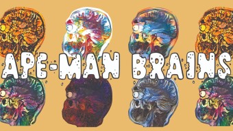 NFTs - Ape Man Brain - Batch 3