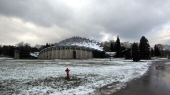 Another winter day, but the walk was completed as usual - My Actifit Report Card: January 31 2023