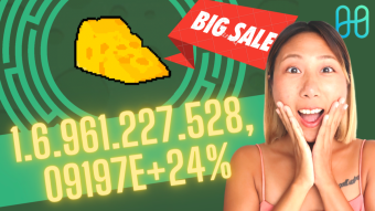 🔴 !!! $CHEEZ CheeseDAO $OHM fork on Harmony ONE chain !