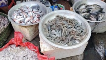 Sebarhat Fish Market.