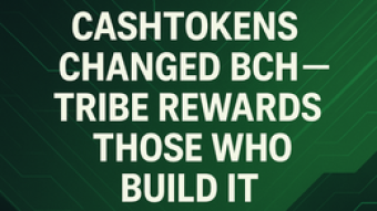 Cashtokens Changed BCH — TRIBE Rewards Those Who Build It