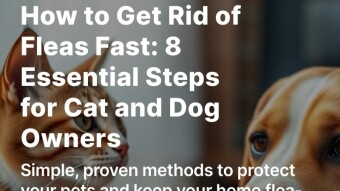 How to Get Rid of Fleas Fast: 8 Essential Steps for Cat and Dog Owners