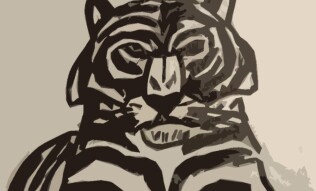 Drawing of white tiger