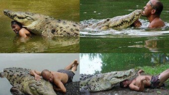 The dying crocodile