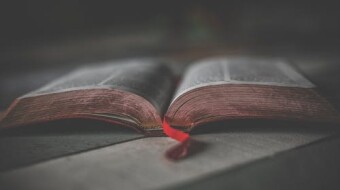 A Proverb a Day – Proverbs 14