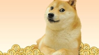 How to HODL Doge with 7% APY