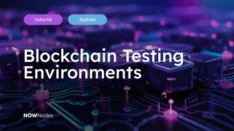 Testnets Explained: Guide to Blockchain Testing Environments