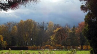 The morning sun quickly peeked into the windows, a beautiful November day - My Actifit Report Card: November 9 2023