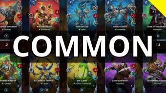 The BEST Common Conclave Reward Cards!