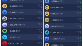 ATOMIC Wallet security: big concerns and warnings - I lost 12 coin types yesterday!