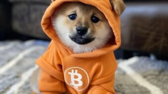 Memecoins: the new obsession of thousands with bitcoin runes