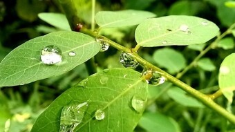 Water drop photography.