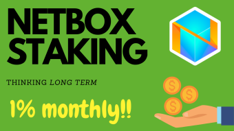 🤑💰 Long-term profits with NETBOX Staking 💵📈