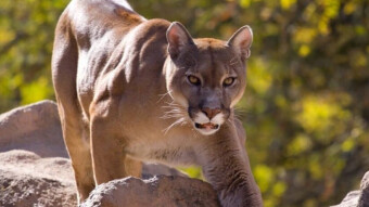 Bitcoin and Finance Charts To Start Week - 6/16