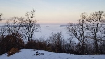 Winter soundscape