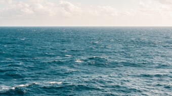 My weight loss journey: grief