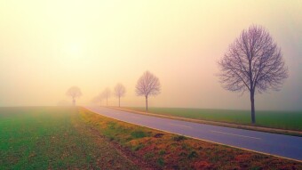 the Calm in my mind (REVISED)