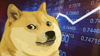 DOGE, Meme Coin or Promising Crypto?