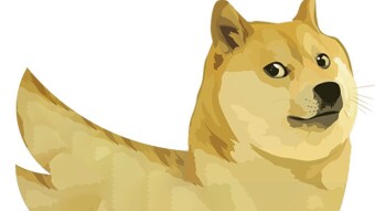 The Doge and the Twitterverse