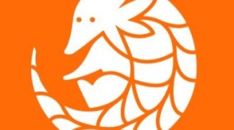 Complexity of CryptoMainNets and the Pangolin Airdrop experience