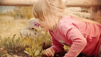 What causes the smell of spring, and will we miss it in this quarantine?