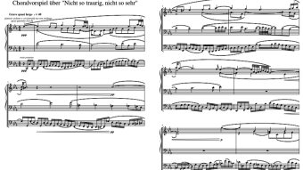 Prelude on "Nicht so traurig, nicht so sehr" [Philip Daniel; 2017]