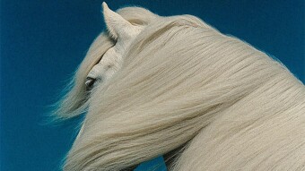 When the Wind Knows Your Name