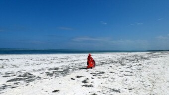 Kigomani - beautiful and difficult beaches, Bill Gates' private island - my trip to Zanzibar