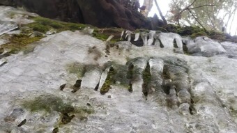 2020 Winter Ice Photos - Ice on Moss