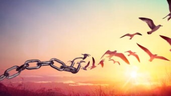 What Is Freedom?