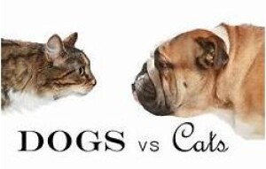 Cats vs Dogs "Pictures and Movie's"