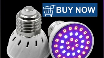 WHAT LED GROW LIGHTS SHOULD AN ORGANIC FARMER USE AND WHY?